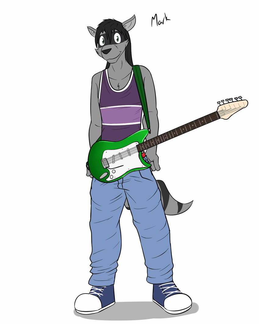 character_name clothed clothing fully_clothed fuze guitar male mammal mark_(fuze) musical_instrument procyonid raccoon texnatsu