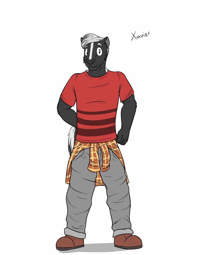anthro character_name clothed clothing footwear fully_clothed fuze male mammal pants shirt shoes skunk solo standing t-shirt texnatsu xavier_(fuze)
