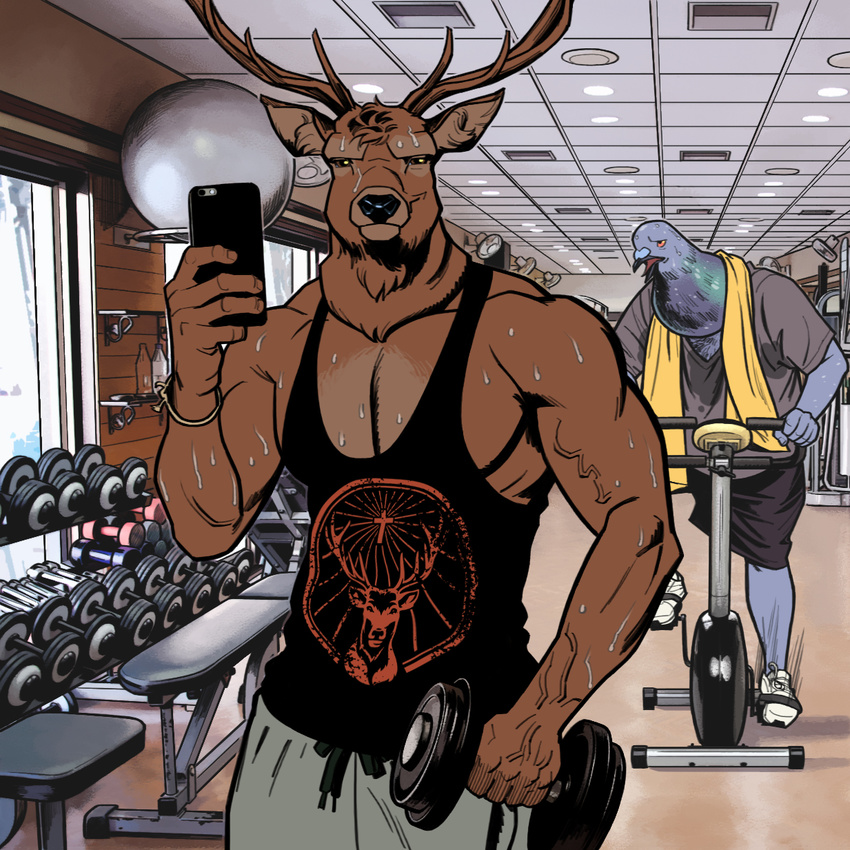 anthro avian billmund bird cervine clothed clothing creatures_of_the_night deer duo exercise gym looking_at_viewer male mammal muscular muscular_male phone pigeon shirt smile sweat tank_top the_stag weightlifting wingman workout