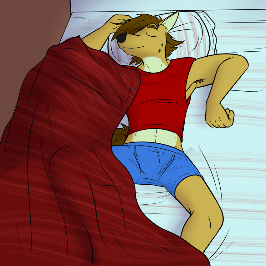 anthro bed blue_underwear bulge canine coyote fuze male mammal mond_reyes pillow sleeping texnatsu