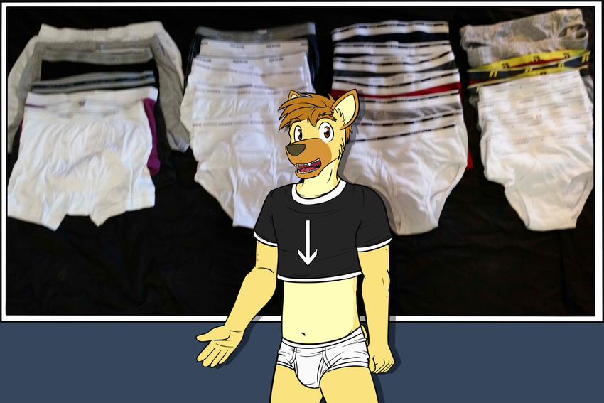 arrow black_shirt briefs bulge clothing fuze fuze_hyena hi_res hyena male mammal mixed_media photo_background shirt solo t-shirt tighty_whities underwear white_underwear