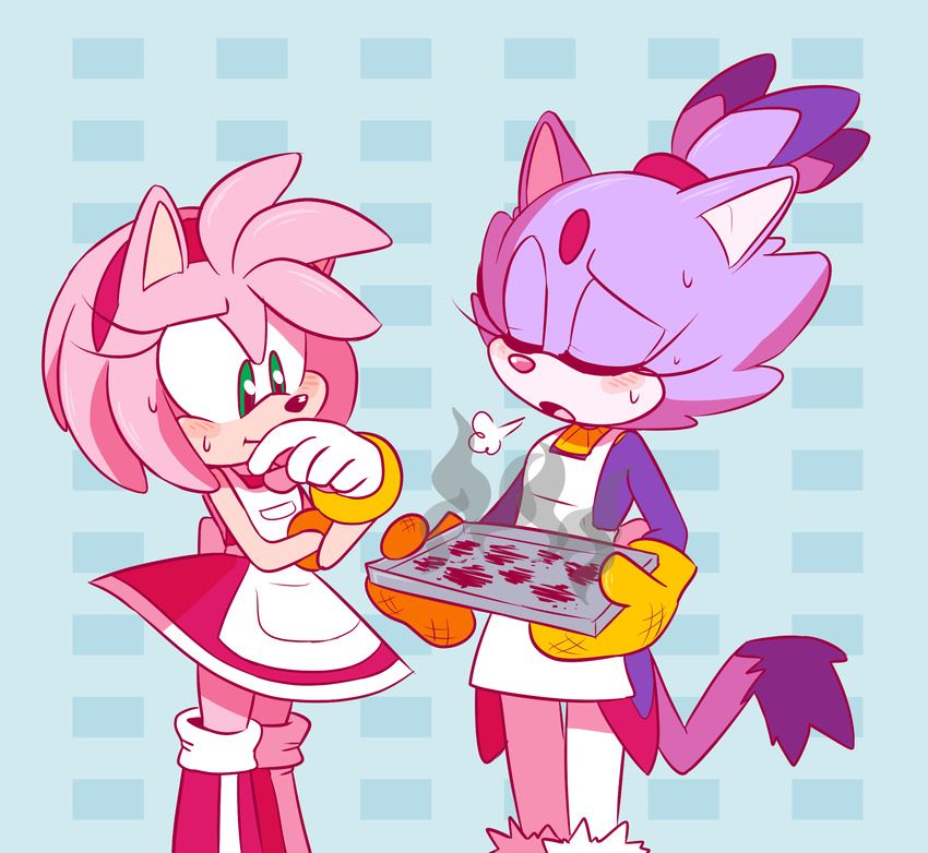 amy_rose anthro black_nose blaze_the_cat clothing dipstick_tail duo feline female fur gloves green_eyes hair hairband hedgehog hi_res mammal multicolored_tail pink_hair ponytail purple_fur short_hair sonic_(series) sp-rings video_games white_fur