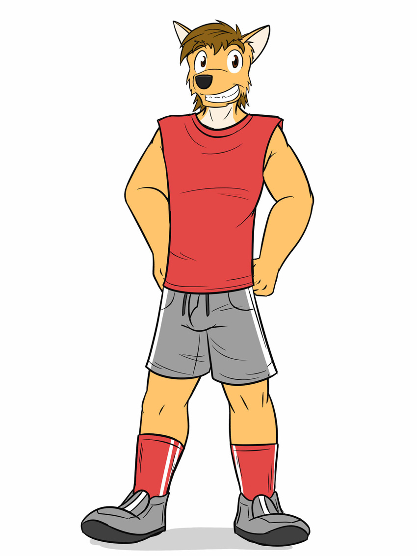 anthro canine coyote fuze male mammal mond_reyes simple_background solo texnatsu white_background