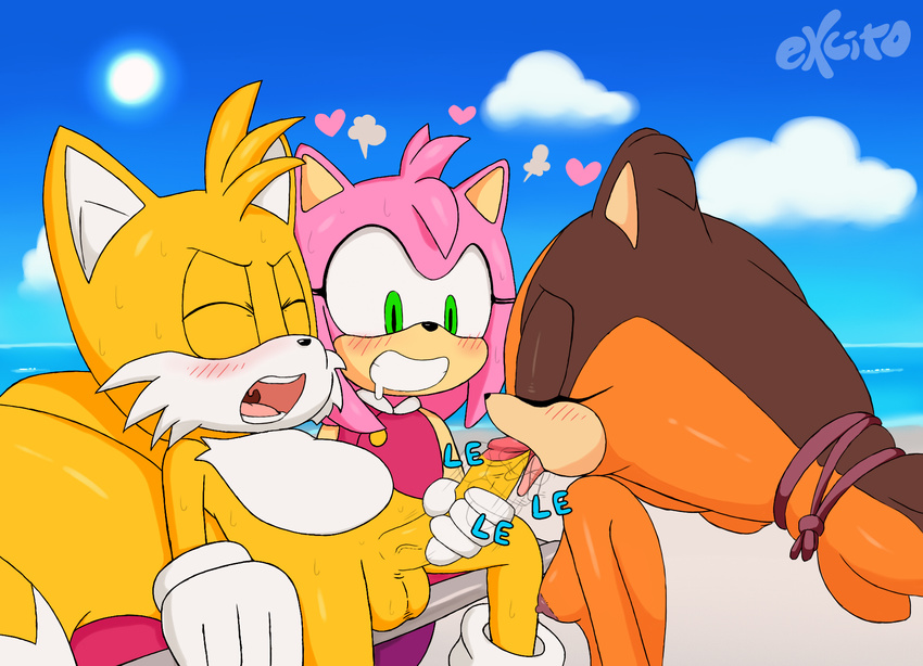 &lt;3 amy_rose badger balls beach blush breasts canine chair clothing cloud dress drooling erection excito eyelashes eyes_closed female fox fur gloves green_eyes group group_sex hairband handjob hedgehog licking male mammal miles_prower mustelid nipples open_mouth oral outside penis penis_lick saliva sea seaside sex sitting sonic_(series) sonic_boom sound_effects spreading steam sticks_the_jungle_badger sun sweat tongue tongue_out water
