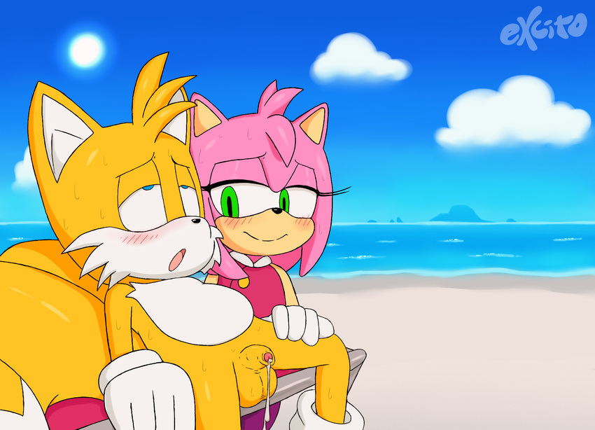 after_sex amy_rose balls beach blue_eyes blush canine chair clothing cloud cum dress excito eye_roll eyelashes female fox fur gloves green_eyes half-closed_eyes hedgehog male mammal miles_prower open_mouth outside penis sea seaside sitting smile sonic_(series) spreading sun sweat water