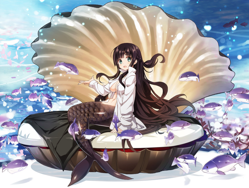 :d black_hair blue_eyes braid breasts check_commentary clam cleavage commentary commentary_request fish fish_scales french_braid long_hair looking_at_viewer medium_breasts mermaid monster_girl navel nyoro_(nyoronyoro000) ocean open_mouth original shirt sitting smile solo submerged underwater