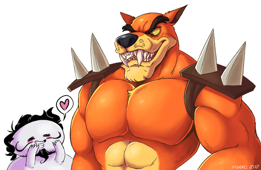 &lt;3 abs biceps black_hair black_nose blush chest_tuft crash_bandicoot_(series) drooling facial_hair fangs fur hair human julian_marcel male male/male mammal marsupial muscular muscular_male mustache oney_plays orange_fur pecs pterro saliva size_difference spikes thylacine tiny_tiger tuft video_games