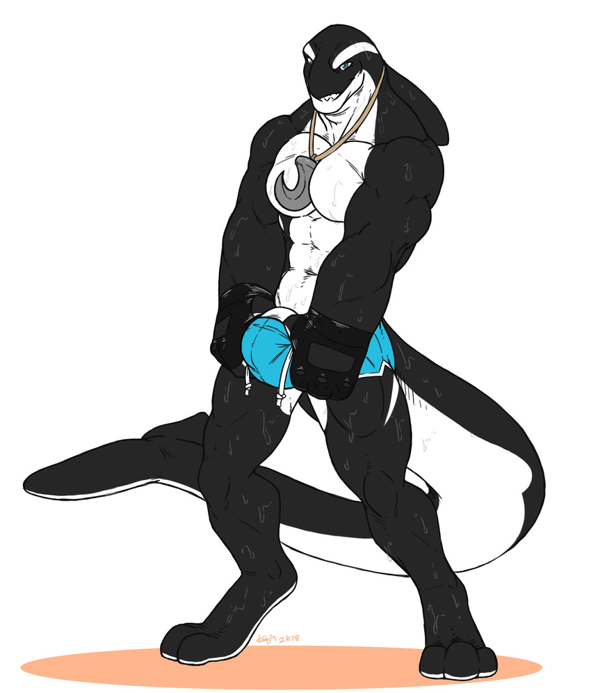 anthro bulge cetacean clothed clothing fingerless_gloves gloves hook jewelry kenjin looking_at_viewer male mammal marine muscular muscular_male necklace orca penis smile solo standing swimsuit topless wet whale