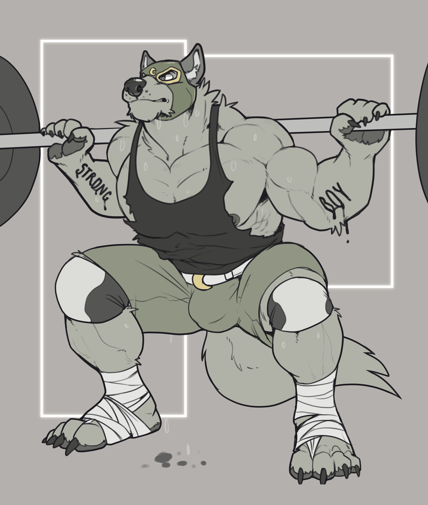 2017 abs anthro bandage belt biceps big_muscles bulge canine claws clenched_teeth clothing crouching exercise foot_wraps fur grey_eyes grey_fur grey_nipples grey_nose hi_res knee_pads male mammal mask muscular muscular_male nightterror nipples obliques pants pecs shirt shorts solo sweat tank_top tattoo teeth toe_claws triceps vest weightlifting weights wolf workout wraps