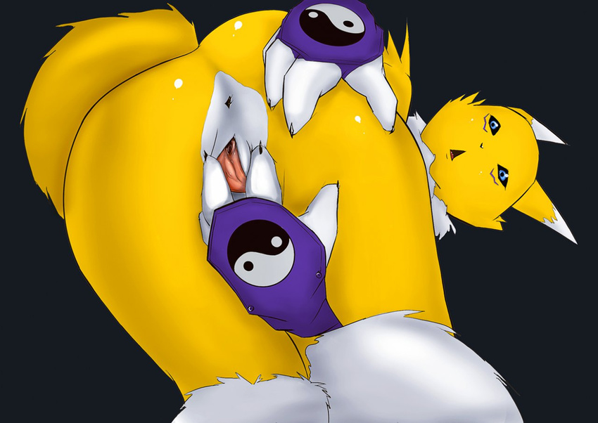 digimon renamon tagme