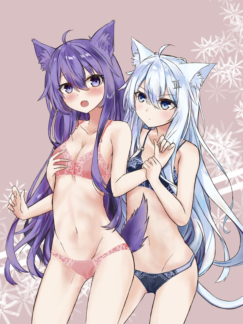 absurdres ahoge akatsuki_(kantai_collection) animal_ears bad_id bad_pixiv_id bangs bare_arms bare_shoulders black_bra black_panties blue_eyes blue_hair blush bra breast_grab breasts brown_background cat_ears cat_girl cat_tail cleavage closed_mouth commentary_request dog_ears dog_girl dog_tail eyebrows_visible_through_hair fang grabbing grabbing_from_behind groin hair_between_eyes hibiki_(kantai_collection) highres kantai_collection kemonomimi_mode multiple_girls navel open_mouth panties pink_bra pink_panties purple_eyes purple_hair resonancq sidelocks small_breasts tail underwear underwear_only v-shaped_eyebrows yuri