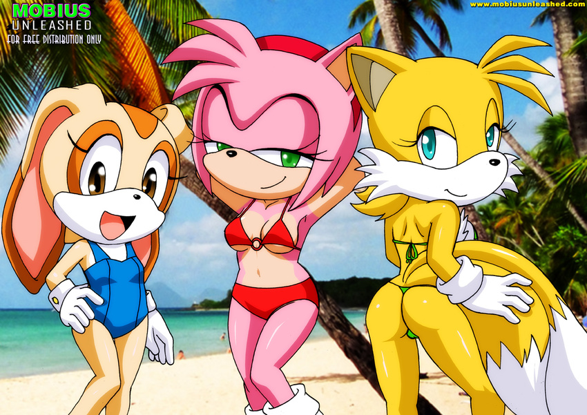amy_rose bbmbbf cream_the_rabbit palcomix rule_63 sega sonic_team tails