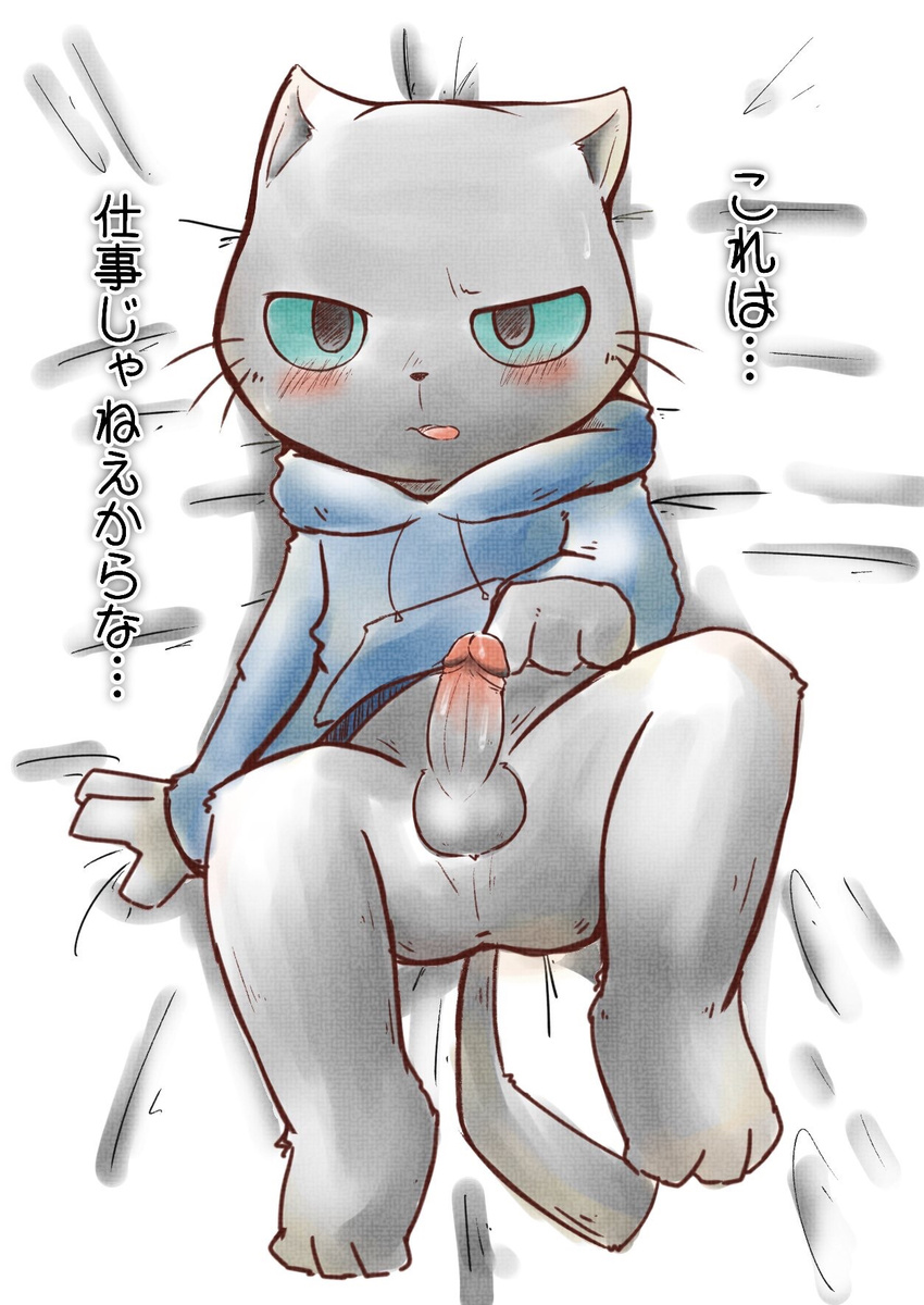 anthro balls bottomless cat clothed clothing erection feline humanoid_penis japanese_text kuehiko_roshihara male mammal penis solo text translation_request working_buddies!