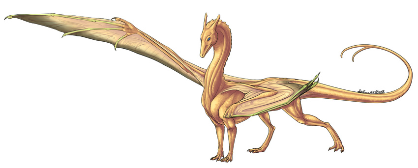 alpha_channel ambiguous_gender blue_eyes claws dragon feral forked_tail horn jaderavenwing membranous_wings orange_scales pern portrait pose scales scalie side_view simple_background solo standing transparent_background western_dragon wing_claws wings yellow_scales