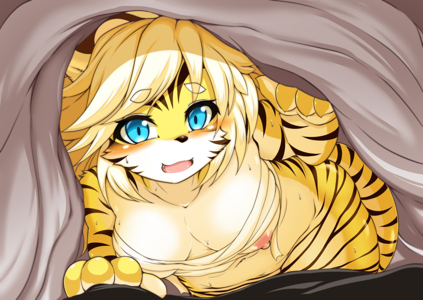 4_fingers anthro areola bandage bed blonde_hair blue_eyes blush breasts brown_fur brown_stripes cheek_tuft feline female fullbokko_heroes fur hair kemono looking_at_viewer mammal megane_inu mostly_nude navel nipples on_bed open_mouth pantherine pink_areola pink_nipples solo striped_fur stripes sweat tiger tuft under_covers white_fur yellow_fur zhang_fei_(fullbokko_heroes)