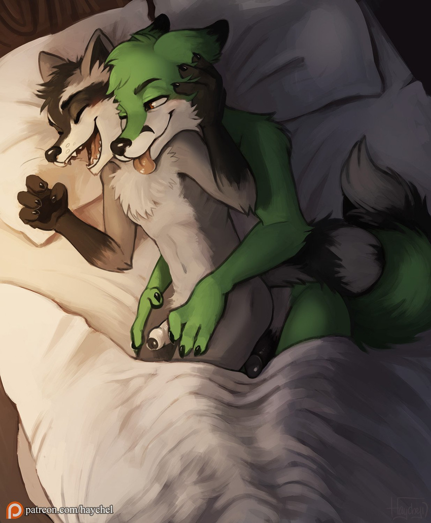 anthro anthro_on_anthro bed blush butt canine claws close-up cuddling erection eyes_closed fangs fox fur haychel hi_res humanoid_penis lying male male/male mammal navel nude oddly_cute on_bed on_side one_eye_closed open_mouth penis pillow procyonid raccoon sharp_claws sharp_teeth smile teeth tongue tongue_out uncut