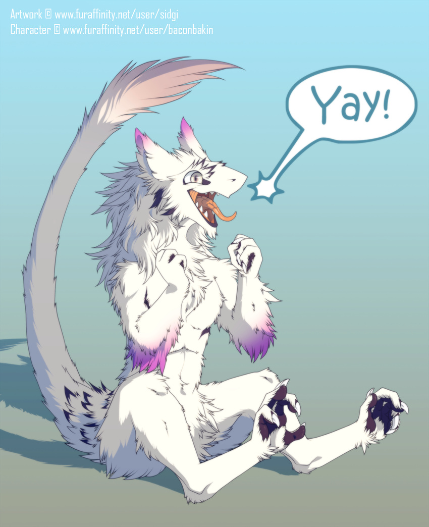 2018 4_fingers 4_toes ambiguous_gender anthro black_fur blue_background cute digitigrade english_text fluffy fur hair happy looking_aside neck_tuft open_mouth pink_fur sergal sharp_teeth sidgi silver_eyes simple_background sitting slim smile solo speech_bubble teeth text toes tongue tuft white_fur white_hair