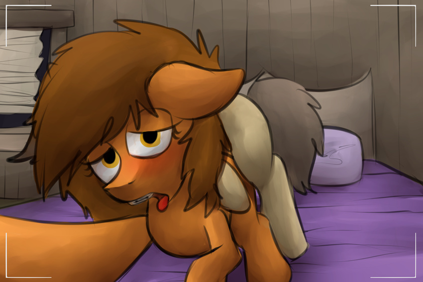 bed blush braces camera digital_media_(artwork) duo earth_pony equine fan_character female feral horse male male/female mammal marsminer my_little_pony photo pony selfie sex venus_spring