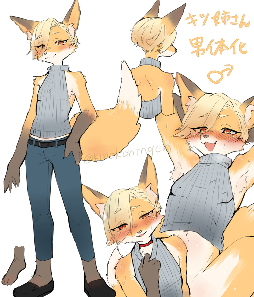 2018 anthro armpit_hair blonde_hair blush brown_fur canine clothed clothing crossgender eyelashes fox fox's_sister_(kinokoningen) fur girly gloves_(marking) hair hair_over_eye jeans kemono kinokoningen looking_at_viewer male mammal markings orange_eyes orange_fur pants simple_background slim solo standing sweater tight_clothing untranslated_text virgin_killer_sweater white_background