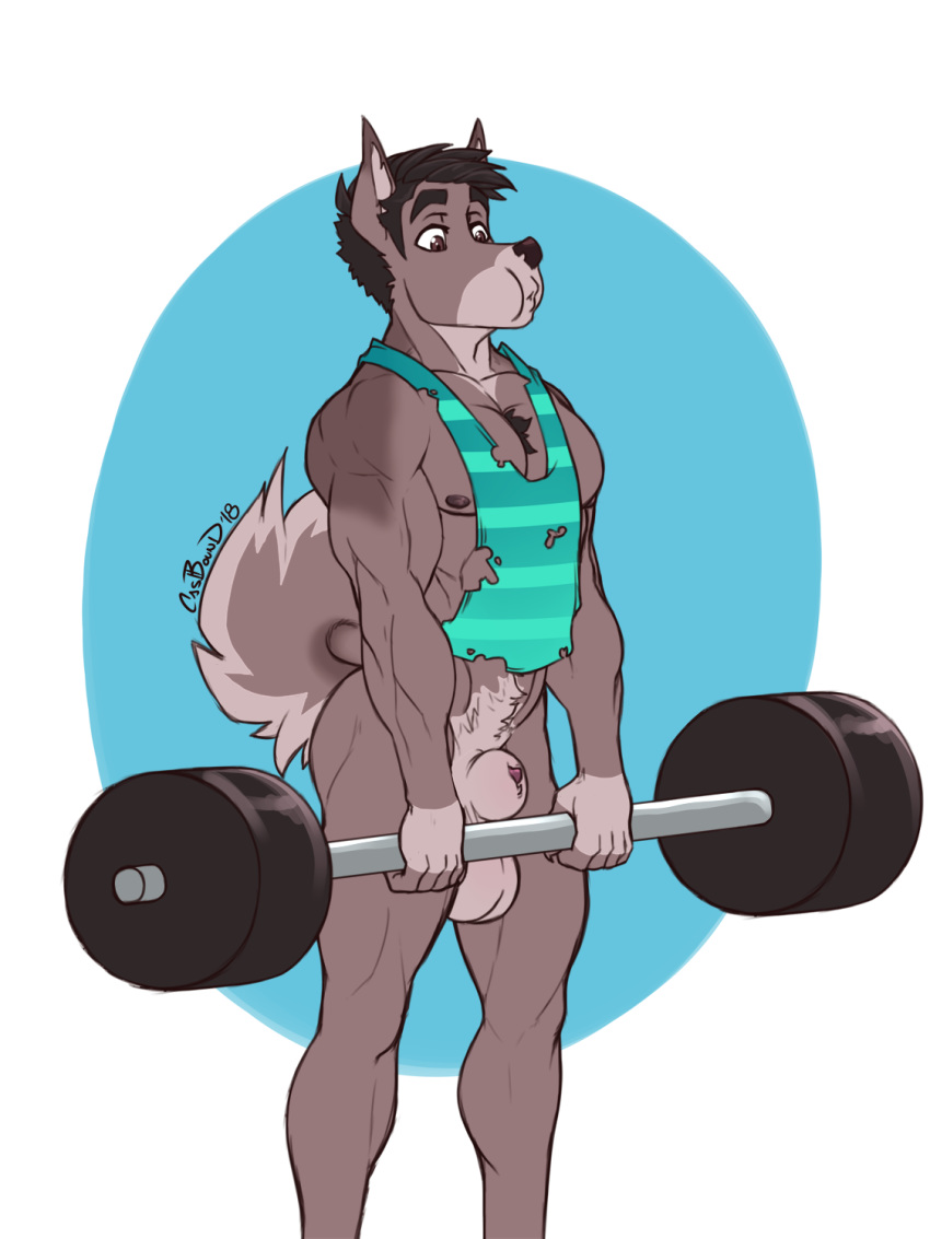 2018 alpha_channel animal_genitalia anthro balls biceps bottomless brown_eyes brown_hair canine castbound clothed clothing dog exercise fur hair male mammal multicolored_fur nipples pecs penis poking_out sheath shirt simple_background solo standing tank_top torn_clothing transparent_background two_tone_fur weightlifting workout