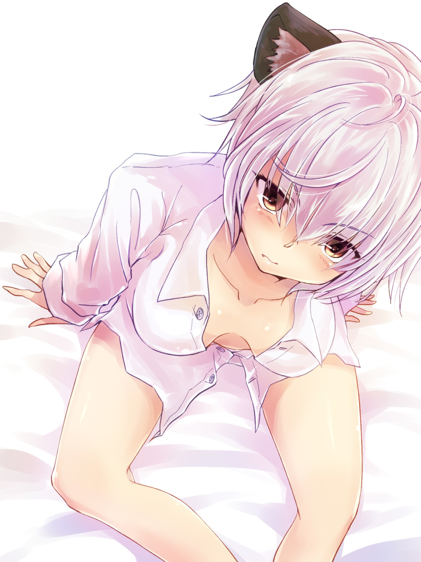 1girl animal_ears arm_support blush breasts brown_eyes cleavage fang from_above killing_bites legs_folded looing_at_viewer looking_at_viewer looking_up medium_breasts nyaa_(nnekoron) open_clothes pov shirt sitting solo uzaki_hitomi white_hair