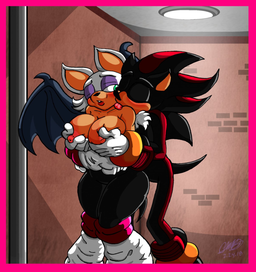 bat big_breasts blush breasts duo female geargades grope hedgehog male mammal membranous_wings nipples rouge_the_bat shadow_the_hedgehog sonic_(series) tongue wings