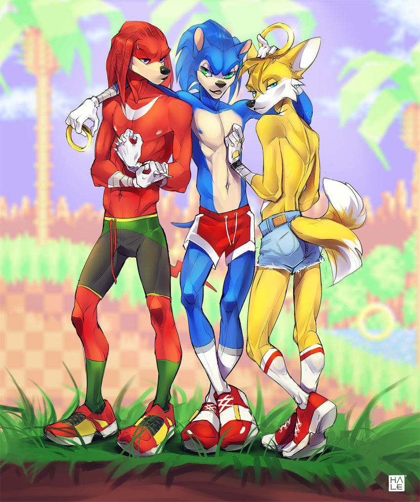 anthro canine clothed clothing denim_shorts echidna fox hale. hedgehog knuckles_the_echidna male mammal miles_prower monotreme shorts sonic_(series) sonic_the_hedgehog topless