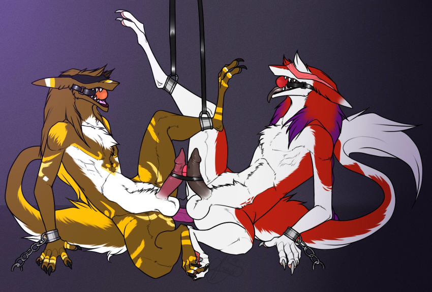 arakho azaly balls bdsm bound duo erection fur girly hair long_hair long_tail male male/male markings penis red_fur sergal sex sheycra simple_background white_fur