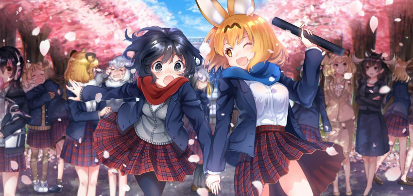 :o ;d ahoge alternate_costume american_beaver_(kemono_friends) animal_ears antlers asymmetrical_hair aura beaver_ears bike_shorts black-tailed_prairie_dog_(kemono_friends) black_eyes black_hair black_legwear blonde_hair blue_scarf blue_sky blurry blush brown_hair brown_legwear cat_ears cherry_blossoms closed_eyes commentary contemporary crossed_arms crying day depth_of_field doll eating extra_ears eyebrows_visible_through_hair fur_collar graduation grape-kun grey_hair grey_sweater hair_between_eyes hair_tie hand_grab headphones highres holding holding_doll hood hoodie hug humboldt_penguin_(kemono_friends) jaguar_(kemono_friends) jaguar_ears jewelry kaban_(kemono_friends) kemono_friends lion long_hair long_sleeves looking_at_another miniskirt moose_(kemono_friends) moose_ears multicolored_hair multiple_girls necklace noah_(noxxxmo) one_eye_closed open_mouth otter_ears out_of_frame outdoors pantyhose pencil_skirt pink_hair plaid plaid_skirt pleated_skirt prairie_dog_ears red_scarf sand_cat_(kemono_friends) scarf school_uniform serval_(kemono_friends) serval_ears shoebill_(kemono_friends) short_hair skirt sky small-clawed_otter_(kemono_friends) smile sweater tears thighhighs tree tsuchinoko_(kemono_friends) yellow_eyes zettai_ryouiki