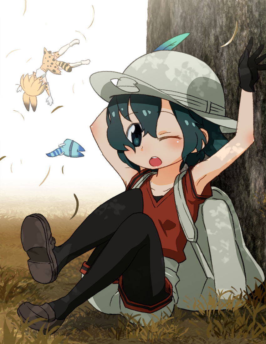 ;o animal_ears arms_up backpack bag black_gloves black_legwear blue_eyes blue_hair commentary_request gloves grass hair_between_eyes hat hat_feather highres kaban_(kemono_friends) kemono_friends lucky_beast_(kemono_friends) multiple_girls one_eye_closed outdoors pantyhose pantyhose_under_shorts red_shirt sat-c serval_(kemono_friends) serval_ears serval_tail shirt shoes short_hair shorts sitting tail upside-down white_shorts wind