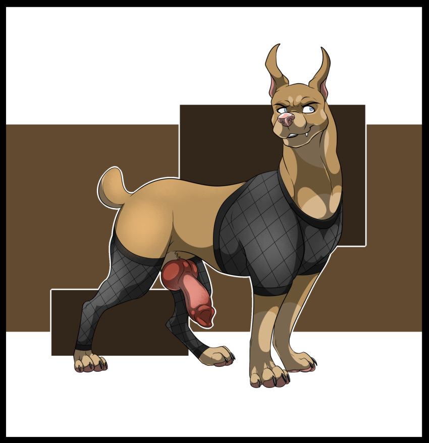 2017 anatomically_correct animal_genitalia animal_penis canine canine_penis claws clothed clothing digital_media_(artwork) digitigrade doberman dog erection fangs feral hi_res knot legwear male mammal penis psy101 simple_background solo standing stockings