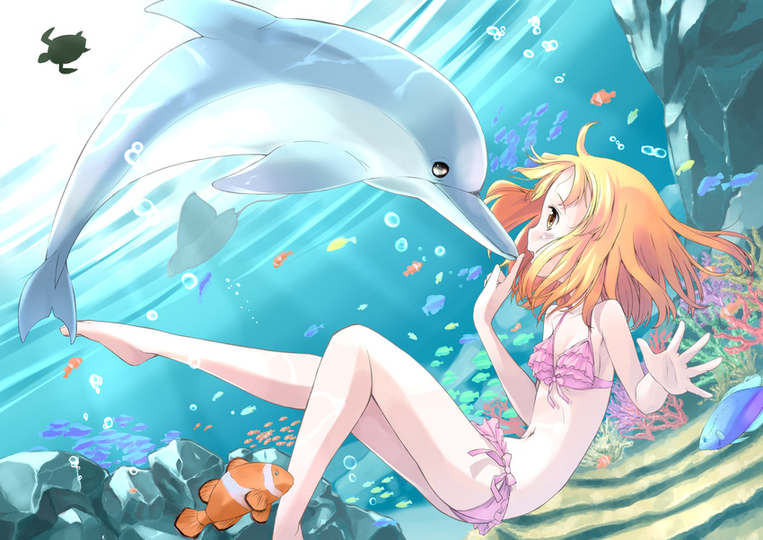 barefoot bikini clownfish coral dolphin dutch_angle fish flat_chest freediving frills hands highres nomi orange_hair original short_hair solo swimsuit turtle underwater yellow_eyes