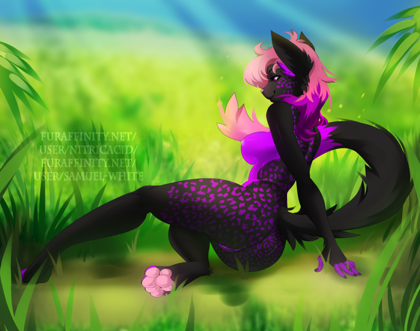 2018 4_toes 5_fingers anthro black_fur cat day detailed_background digital_media_(artwork) eyebrows eyelashes feline female fur grass hair mammal nipples nitricacid nude outside pawpads pink_hair purple_ur pussy samuel-white sky smile solo spots spotted_fur toes