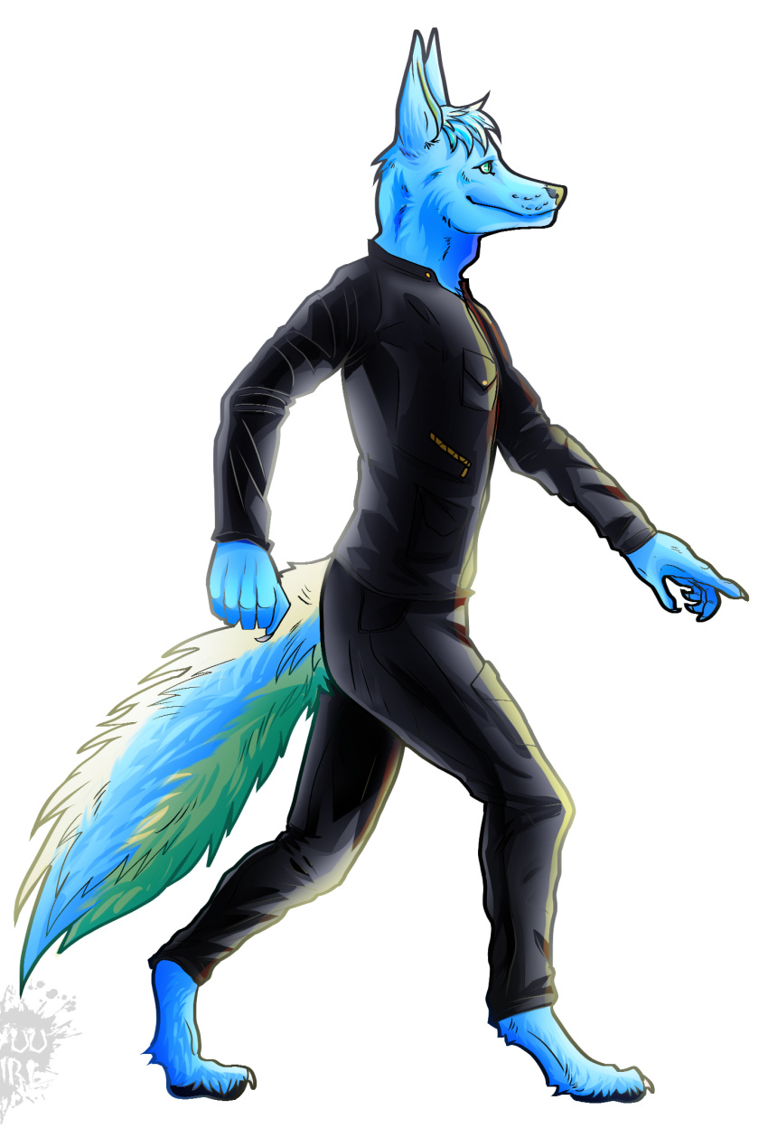 5_fingers anthro barefoot blue_fur canine cargo_pants claws clothed clothing cloud_windpaw_omega fully_clothed fur gold_fur green_eyes male mammal pants ryuu_girl solo walking wolf