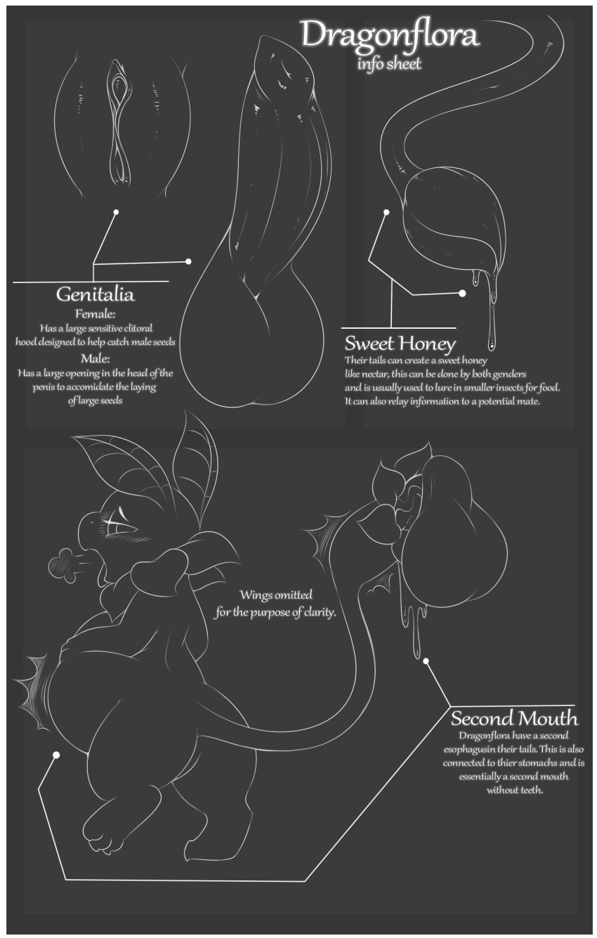 2017 abdominal_bulge anatomy animal_genitalia animal_penis balls belly big_belly blush bulge butt camychan cum cum_inflation cum_inside digital_media_(artwork) disembodied_penis disembodied_pussy disembodied_tail dragon erection female flora_fauna flower hi_res honey hybrid inflation leaking male monochrome open_mouth oral penetration penis petals plant pussy sex simple_background solo standing tail_maw tail_mouth text tongue