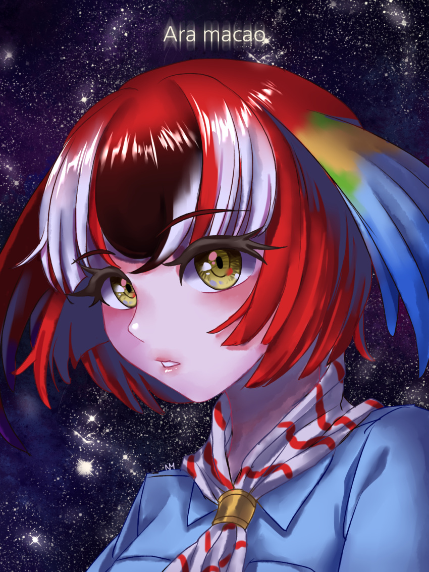 black_hair feathered_wings gom-iuneunsoli graphite_(medium) highres kemono_friends multicolored_hair night night_sky portrait red_hair scarlet_macaw_(kemono_friends) scientific_name sky solo star_(sky) teeth traditional_media white_hair wings yellow_eyes