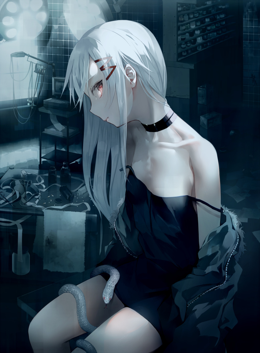 bandages choker closed_mouth commentary_request drugs flat_chest hair_ornament hairclip highres indoors jacket long_hair looking_at_viewer open_clothes open_jacket original red_eyes scissors sitting snake solo strap_slip tlla white_hair