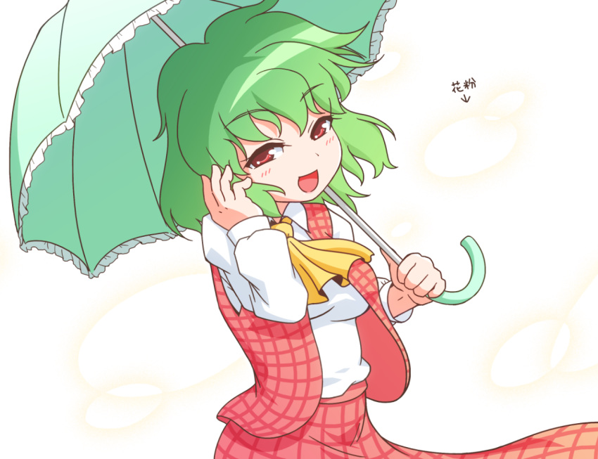 :d ascot collared_shirt commentary_request directional_arrow eyebrows_visible_through_hair floating_hair green_hair green_umbrella half-closed_eyes hand_on_own_head hands_up holding holding_umbrella kazami_yuuka long_sleeves looking_at_viewer open_clothes open_mouth open_vest parasol plaid plaid_skirt plaid_vest red_eyes red_skirt red_vest shirt short_hair skirt skirt_lift skirt_set smile solo standing touhou translated umbrella unachika upper_body vest white_shirt wind wind_lift yellow_neckwear