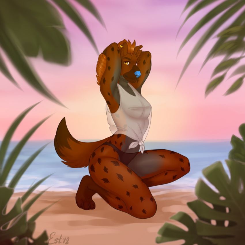 anthro beach breasts clothing esterr_(artist) female hyena looking_at_viewer mammal nipples seaside sheer_clothing solo translucent transparent_clothing