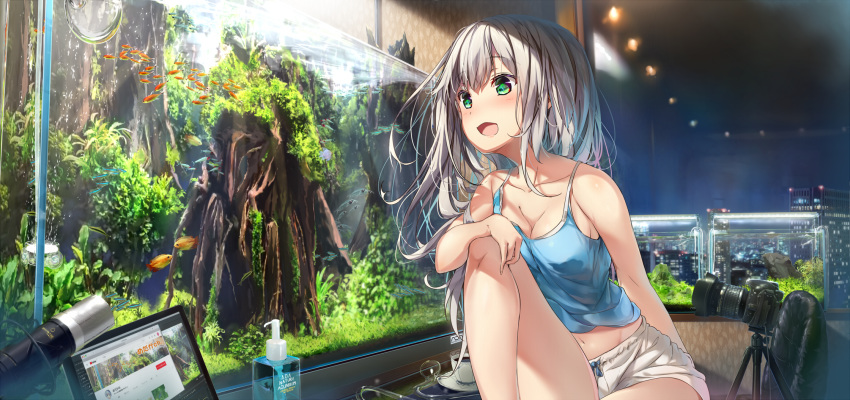 animal breasts cleavage computer drink fish gray_hair green_eyes long_hair microphone original shorts waifu2x water wingheart