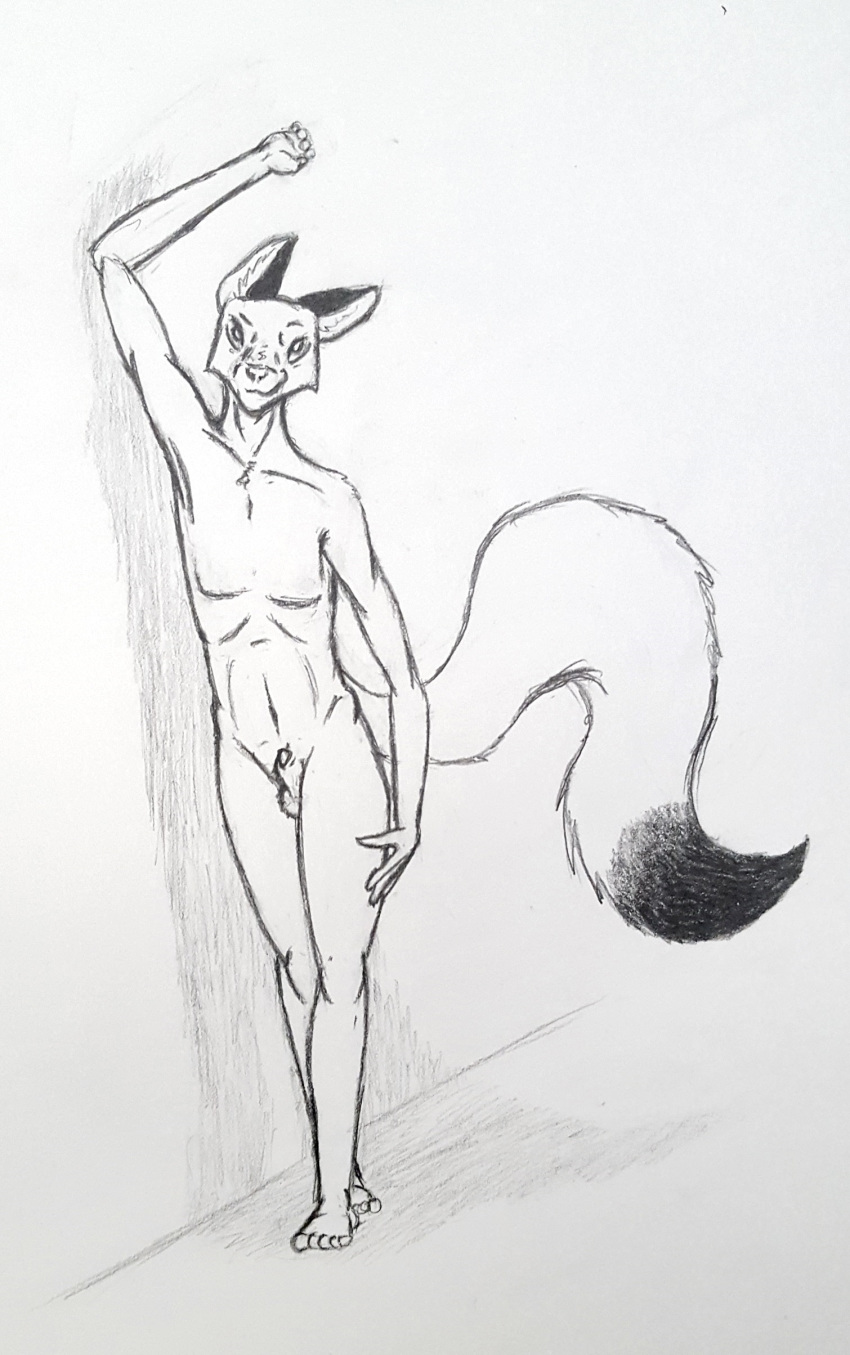 2.doe animal_genitalia animal_penis anthro athletic balls canine canine_penis fluffy fluffy_tail fox fully_sheathed looking_at_viewer male mammal nude penis pose raised_eyebrow seductive sheath slim smile solo standing