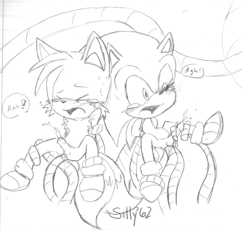 silly&sup2;62 sonic_team sonic_the_hedgehog tagme tails