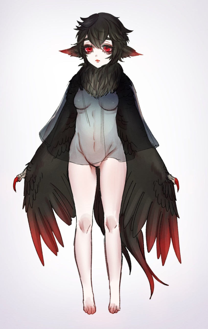 1girl bachikin_(kingyo155) breasts feathered_wings feathers female full_body harpy monster_girl navel no_nipples nude original pale_skin red_eyes simple_background solo white_background wings