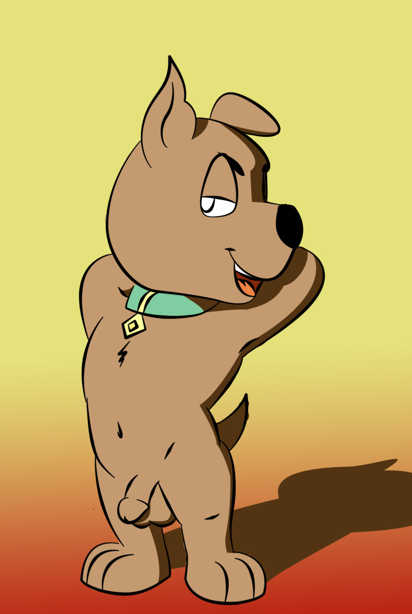 balls canine cocky collar cub dog male mammal penis pose scooby-doo_(series) scrappy-doo seductive young