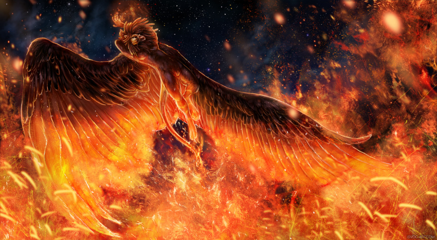 2018 anthro avian brown_feathers detailed_background feathered_wings feathers female fire gryphon isvoc night nude outside pussy sky solo star starry_sky wings
