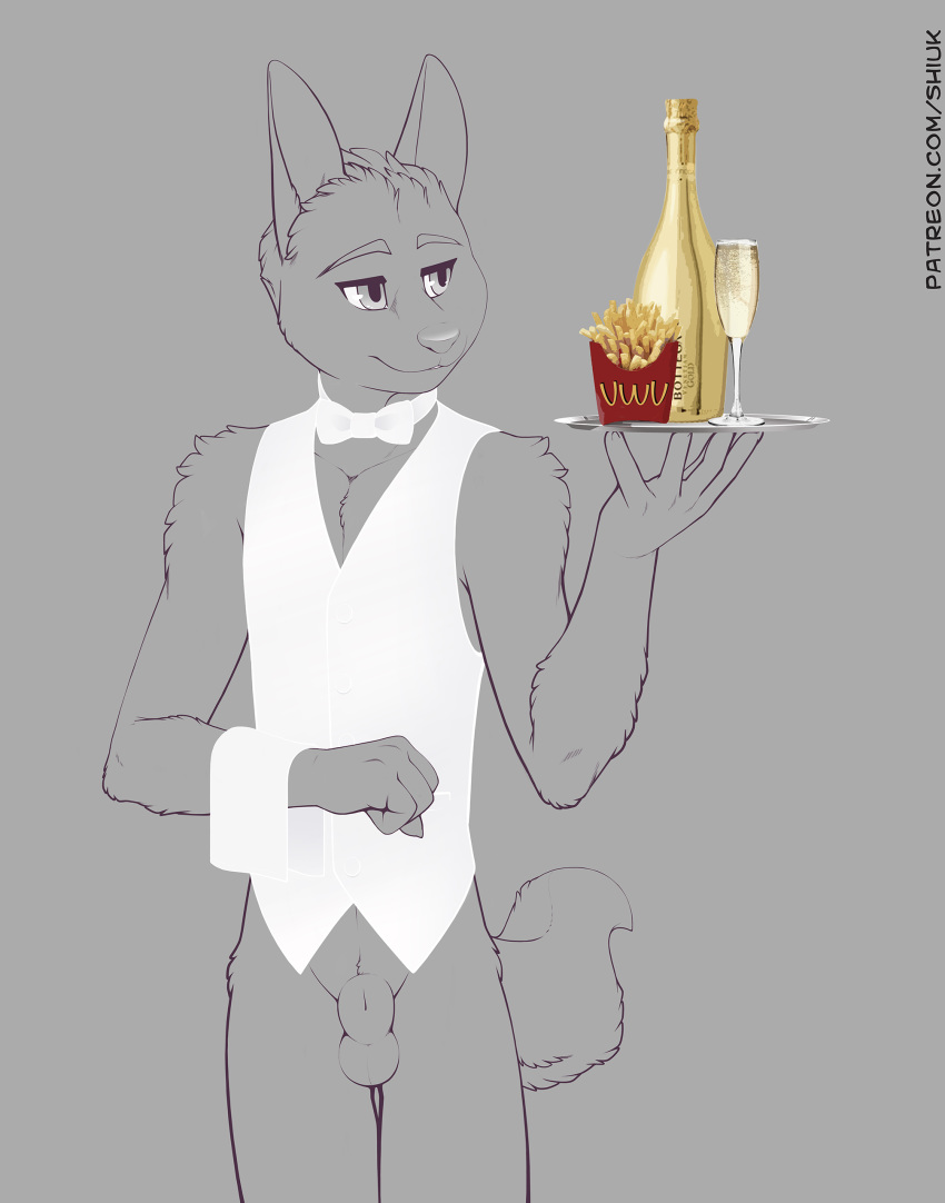 5_fingers alcohol animal_genitalia anthro balls beverage bottomless bow_tie canine champagne clothed clothing food fox fries male mammal sheath shiuk simple_background solo standing vest waiter