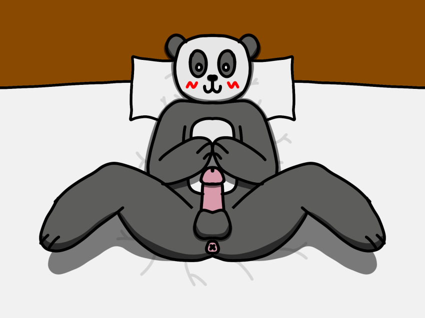 anthro anus bear furry genitals giant_panda hi_res male male/male mammal minirockg penis shy solo solo_focus