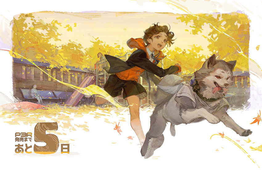 1girl 2boys absurdres alligator amada_ken bench black_jacket black_shorts blue_ribbon border brown_eyes brown_hair chinese_commentary collared_shirt commentary_request countdown crocodilian dog falling_leaves fence highres hood hood_down hoodie jacket kamiki_akinari kneehighs koromaru_(persona) leaf long_sleeves male_focus mixed-language_commentary multiple_boys neck_ribbon oohashi_maiko open_mouth orange_hoodie outdoors outside_border partial_commentary persona persona_3 persona_3_reload playground ribbon running shirt shorts sitting slide smile socks tongue tongue_out tree white_border white_fur white_shirt wing_collar yasaiiii_444