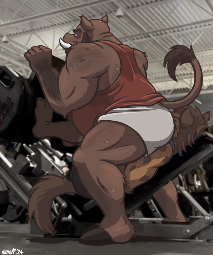 absurd_res age_difference anthro bodily_fluids bottomwear clothing duo facesitting gym hi_res hyena leg_press leg_press_redraw_(meme) male male/male mammal musclegut muscular muscular_male nanoff shirt shorts sitting_on_another size_difference spotted_hyena student suarez_(nanoff) suid suina sus_(pig) sweat tank_top teacher teacher_and_student topwear walter_rossi_(nanoff) wild_boar