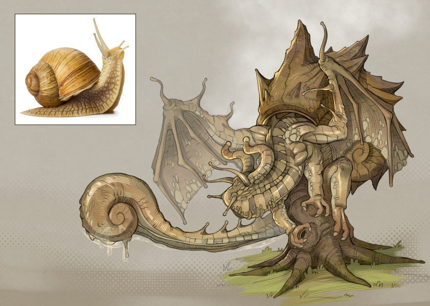 ambiguous_gender dragon eyestalks feral gastropod grass hi_res membrane_(anatomy) membranous_wings mollusk mythological_creature mythological_scalie mythology plant rappenem reference_image scalie shell snail solo tail wings